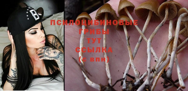 бошки Липки