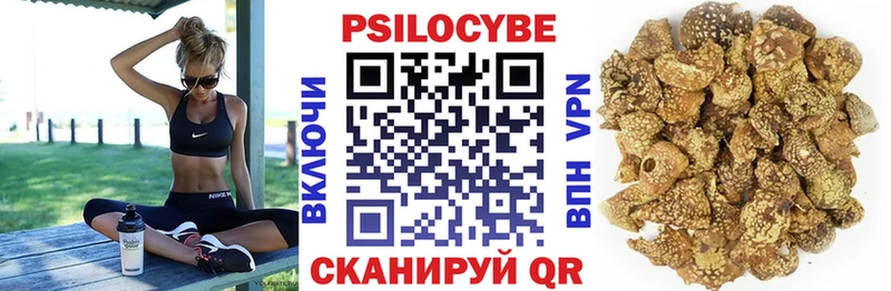 купить  сайты  Сенгилей  Псилоцибиновые грибы ЛСД 